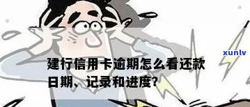 建行信用卡逾期查询：如何确定逾期时间与处理办法