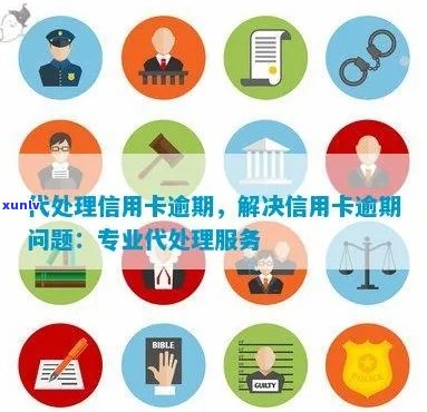 高效应对信用卡逾期问题：专业代处理服务全面解析