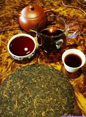 国人经营的普洱茶及其特色：探寻国茶文化与普洱茶的完美融合