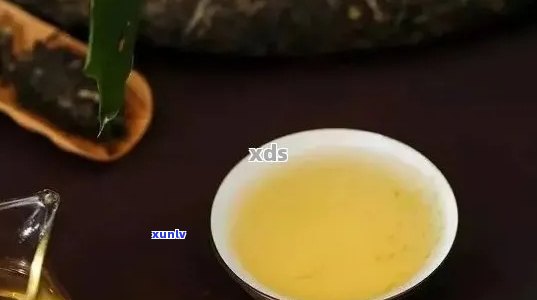 全面解析：双益普洱茶的品质、功效与泡法，解答你对普洱茶的所有疑问