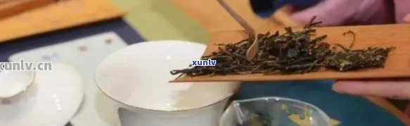 冲泡普洱茶的简易指南：步骤、工具和口感体验