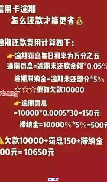 信用卡逾期还款解决方案及借款成本比较分析