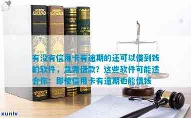 有没有信用卡逾期了也能借贷的软件：寻找适用于信用卡逾期者的借贷平台