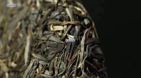 普洱茶涩味多，怎么破？