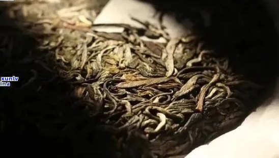 普洱茶叶陈化时间对品质的影响：越久越好还是适可而止？