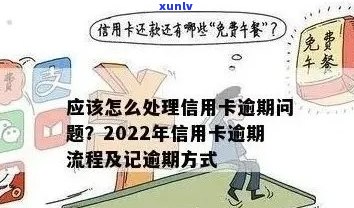 2022年信用卡逾期还款全流程攻略：如何避免罚息和影响