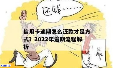 2022年信用卡逾期还款全流程攻略：如何避免罚息和影响