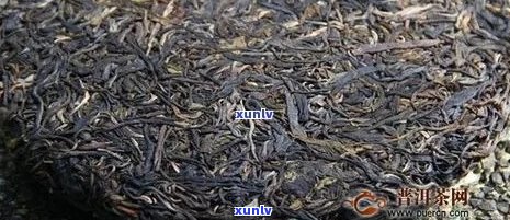 普洱茶价格指南：一克普化石普洱茶需要多少钱？