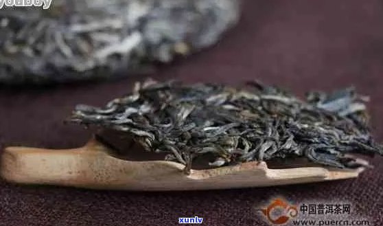 普洱茶价格指南：一克普化石普洱茶需要多少钱？