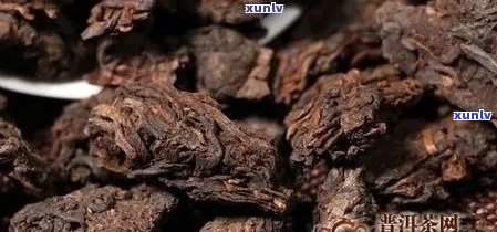 普洱茶化石价格查询：普洱茶茶化石现价是多少？