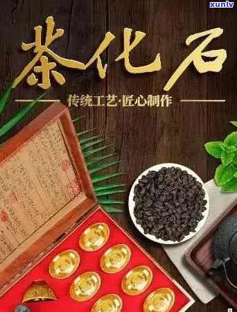 普化石普洱茶多少钱