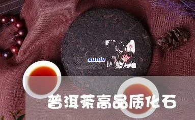 普化石普洱茶多少钱