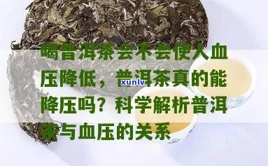 普洱茶对高血压的影响：科学研究、功效与注意事项全面解析