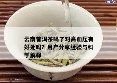 普洱茶对高血压的影响：科学研究、功效与注意事项全面解析