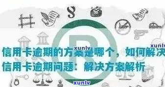 逾期信用卡后重新申请信用卡的可行性及相关建议