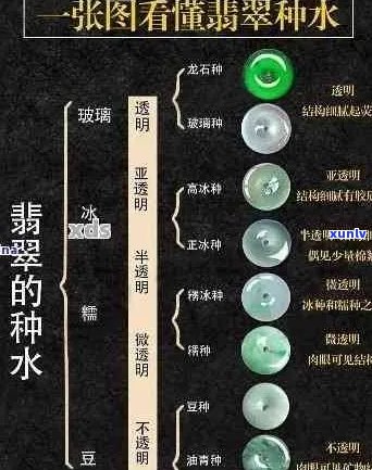 翡翠种的含义及与水的关系 - 详解翡翠种类