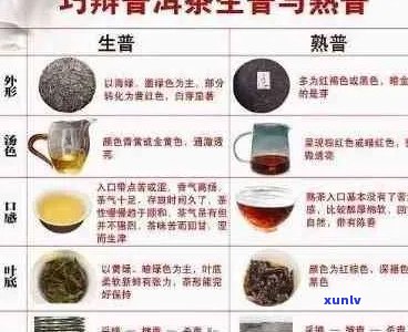 普洱茶苦味成分解析及是否安全饮用全面指南