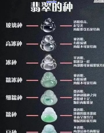 翡翠种新的优缺点