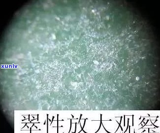 翡翠苍蝇翅越明显种越差，影响其价值和质量，很多却很贵的原因是什么？