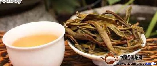 南糯山普洱茶的口感怎么样？ 南糯山普洱茶特点和口感简介