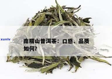 南糯山普洱茶的口感