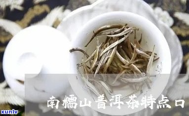 南糯山普洱茶的口感