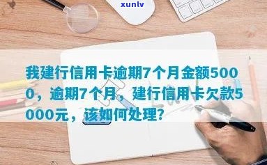 建行信用卡逾期7个月，5000元债务如何解决？逾期后果与还款计划分析