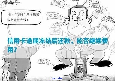 信用卡逾期冻结蓄卡，是否可期还款？