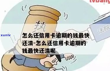 信用卡逾期很久怎么还钱