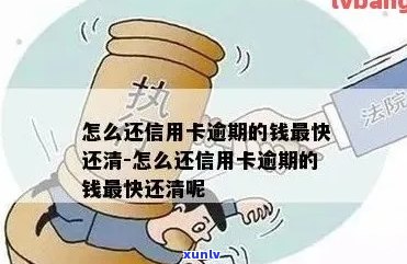 信用卡逾期很久怎么还钱