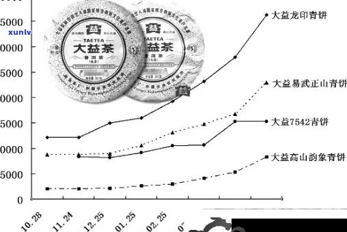 七子普洱茶饼市场价格波动分析，消费者购买建议与收藏价值探讨