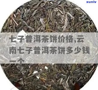 全面了解普洱七子饼茶价格、、口感及选购攻略的搜索指南