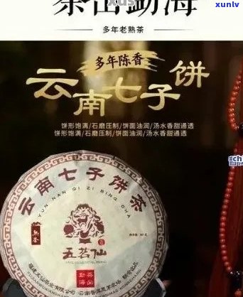 全面了解普洱七子饼茶价格、、口感及选购攻略的搜索指南