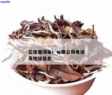 云南昆明普洱茶厂：厂家 *** 、地址及联系方式