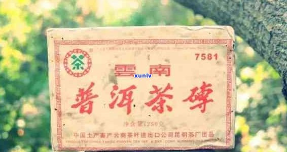 昆明茶厂精选普洱茶：源自古树，传承工艺，纯正口感