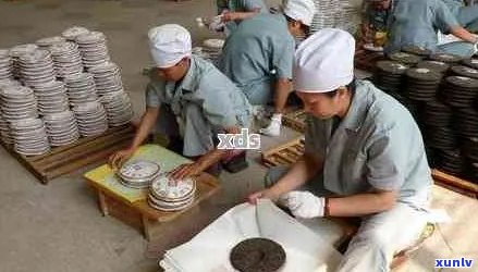 昆明普洱茶压饼加工的完整过程：从采摘到成品的全方位解析