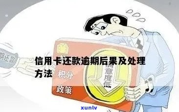 信用卡逾期后额度恢复策略与建议，避免信用破产的全面指南