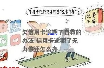 欠信用卡逾期确实没能力还怎么办：刑事责任与解决 *** 