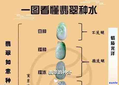 全面解析翡翠种植：从种苗、土壤到养护，了解所有你想知道的