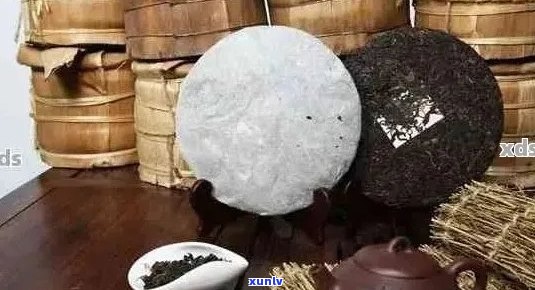 普洱茶冷藏后还能喝吗？如何保存普洱茶以保持其品质？