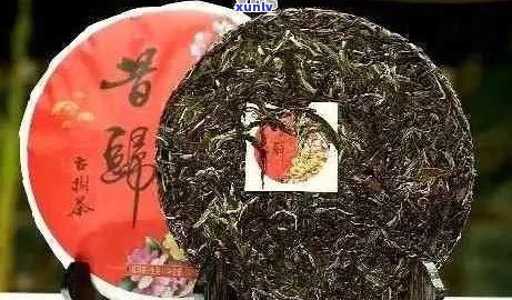 俊窖藏9年普洱茶