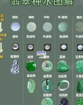 翡翠种水色等级划分：从入门到精通的详细指南与价格分析