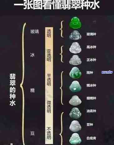 翡翠种水及价格一览表：完整等级划分与对应关系