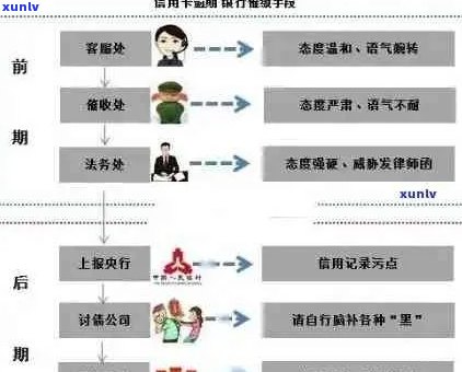 探索信用卡逾期背后的原因：银行职工与普遍现象的对比分析及解决方案