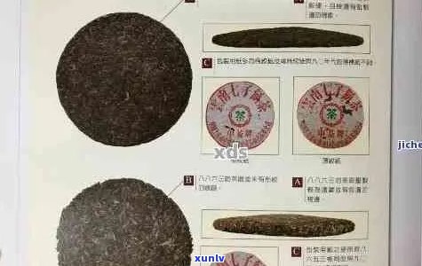 新揭秘普洱茶防伪标志：如何识别正品，避免假冒陷阱？