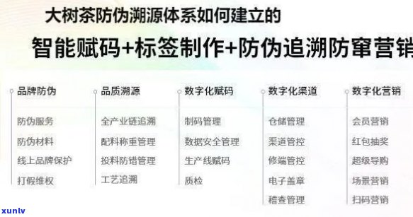 普洱茶溯源防伪体系建设及应用：全面解决用户疑问，确保茶叶品质与安全