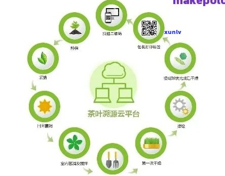 普洱茶溯源防伪体系建设及应用：全面解决用户疑问，确保茶叶品质与安全