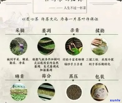 全面解析熟普洱茶的性质：从产地、 *** 工艺到品饮 *** ，解答您的所有疑问