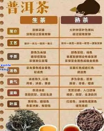 普洱茶的性质、味道与疗效：深入探讨其独特的归经特性和健功效