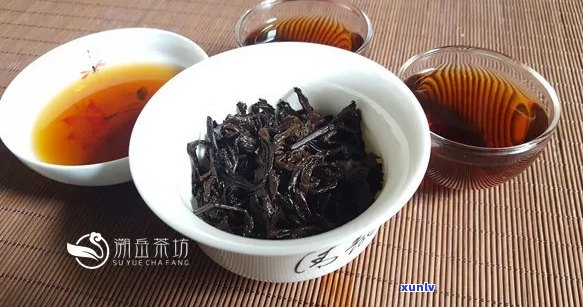 熟普洱茶性味是什么